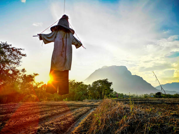 istock Setting sun shining through a scarecrow with Doi Luang Mountain in the background, Chiang Dao, Northern Thailand. 1051724108