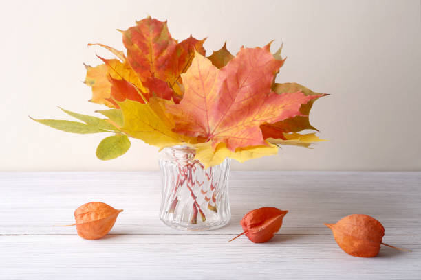 istock Maple leaves in vase and dried plants chinese lantern  in interior. 1051724592
