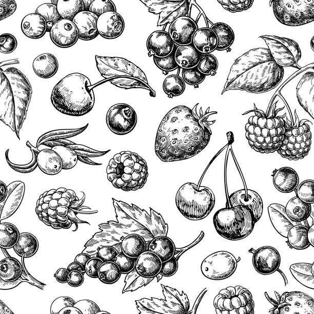 wild berry bezszwowy wzór rysunek. ręcznie rysowane vintage wektorowe tło. owoce letnie - raspberry berry fruit fruit backgrounds stock illustrations