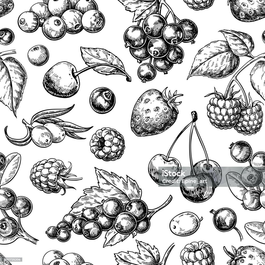 Wild berry seamless pattern drawing. Hand drawn vintage vector background. Summer fruit Wild berry seamless pattern drawing. Hand drawn vintage vector background. Summer fruit set of strawberry, cranberry, currant, cherry, srawberry, blueberry. Detailed organic food for menu, label, banner, tea or jam packaging Fruit stock vector