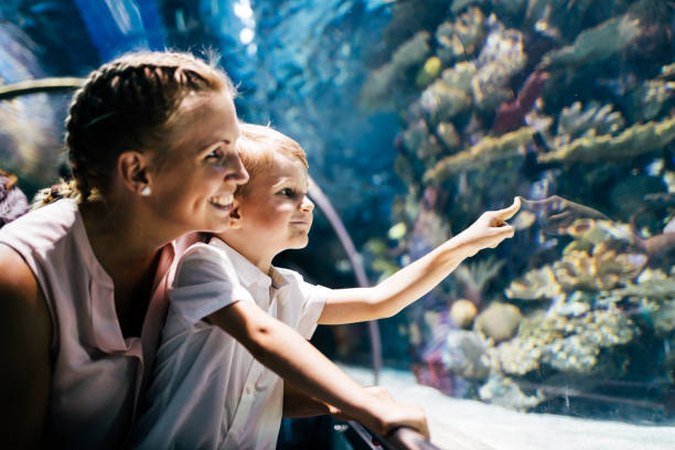 母と息子の水族館で海の生活を見て - 水族館 ストックフォトと画像