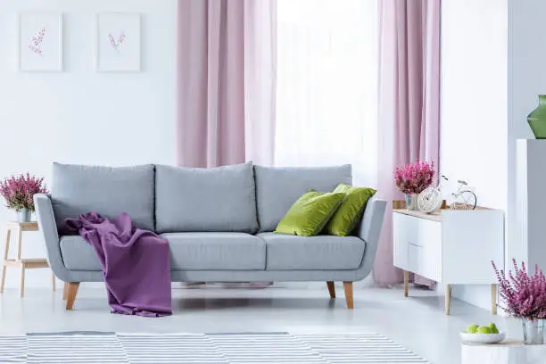 Photo of Elegant living room with big comfortable grey couch with olive green pillows and violet blanket in the middle of stylish living room with heater in pots and lilac curtainsbike