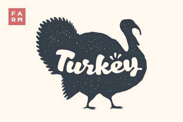 Turkey. Lettering, typography. Animal silhoutte turkey and lettering Turkey Turkey. Lettering, typography. Animal silhoutte turkey and lettering Turkey. Creative graphic design for butcher shop, farmer market, Thanksgiving Day. Vintage poster. Vector Illustration thanksgiving holiday silhouettes stock illustrations