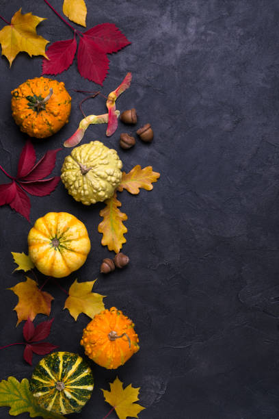 istock Autumn composition. Frame made of different multicolor dried leaves and pumpkin on dark background. Autumn, fall concept. Flat lay, top view, copy space 1051739548