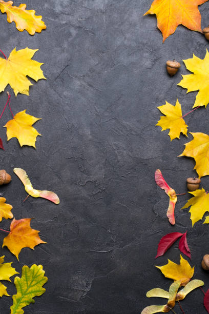 istock Frame with autumn maple leaves. Nature fall template for design, menu, postcard, banner, ticket, leaflet, poster. On a dark background 1051739688