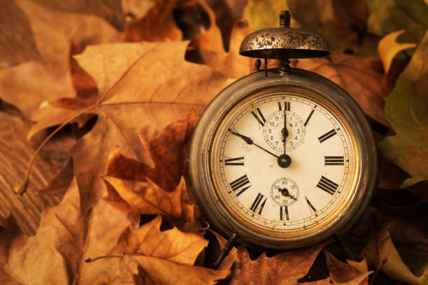 old alarm clock surrounded by dry leaves