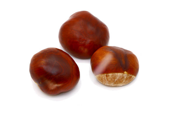 istock ripe chestnut close up, isolated 1051754084