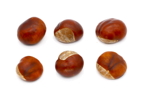istock ripe chestnut close up, isolated 1051754108