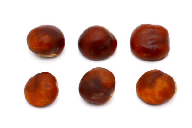 istock ripe chestnut close up, isolated 1051754110