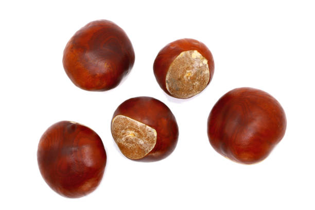 istock ripe chestnut close up, isolated 1051754666