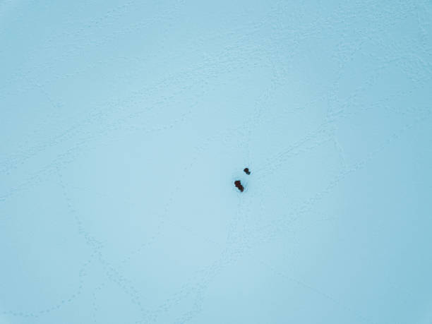 istock Aerial view of couple and snow around them 1051758070