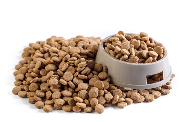 istock dry dog food isolated on white background 1051758782