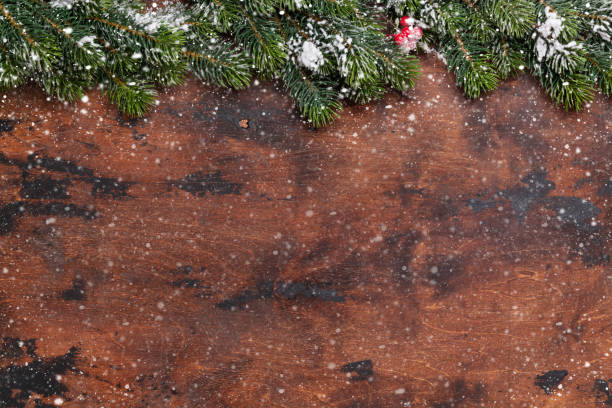 istock Christmas fir tree branch covered by snow 1051772998