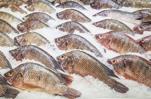 Many tilapia are placed on ice, shot from supermarket