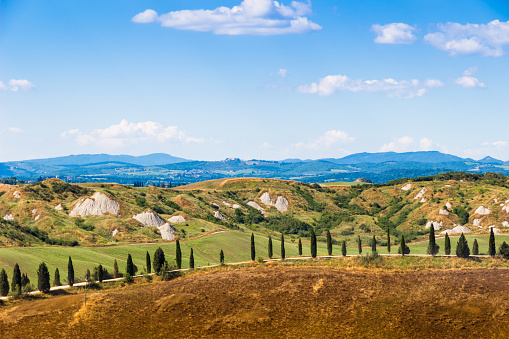 Road and cypresses on a hill near Asciano in Crete Senesi, Tuscany, Italy