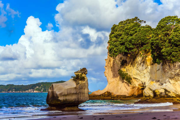 istock The small beach on the Pacific coast 1051789490