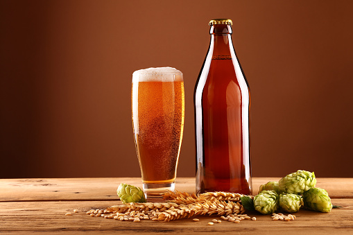 Close up one full brown bottle and glass of beer with froth and bubbles, green hops, barley grain and spikes on wooden table, low angle side view
