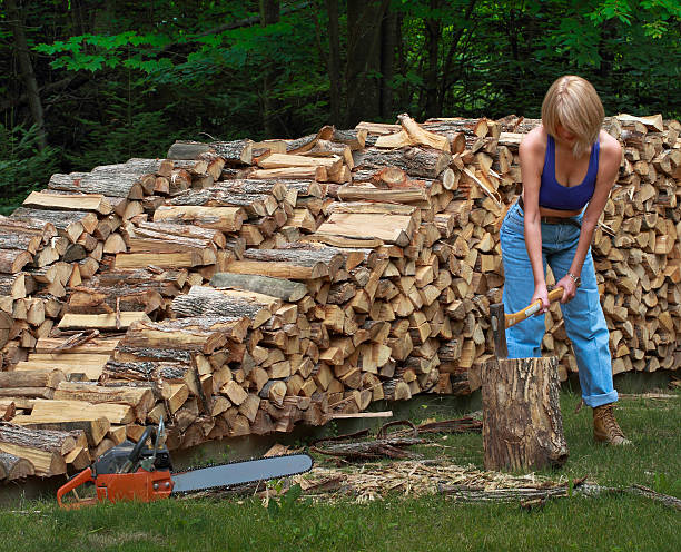 Fille diviser Bois de chauffage - Photo