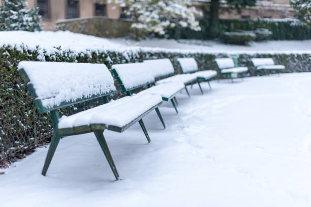 istock Benches under the snow in a public park in winter 1051800668