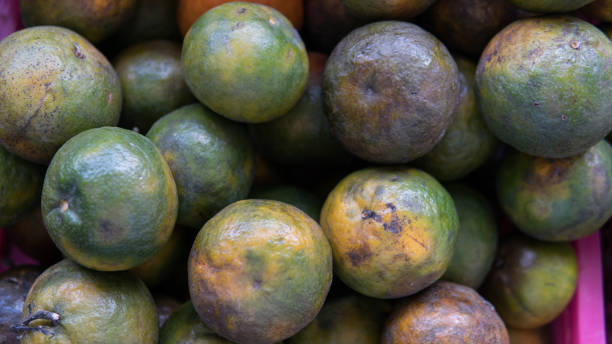istock Asian fruit market. Tropical fruits 1051804712