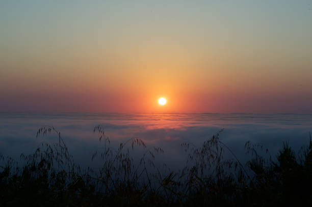 istock Atmospheric Moody Sunset above the clouds with African grass 1051804890