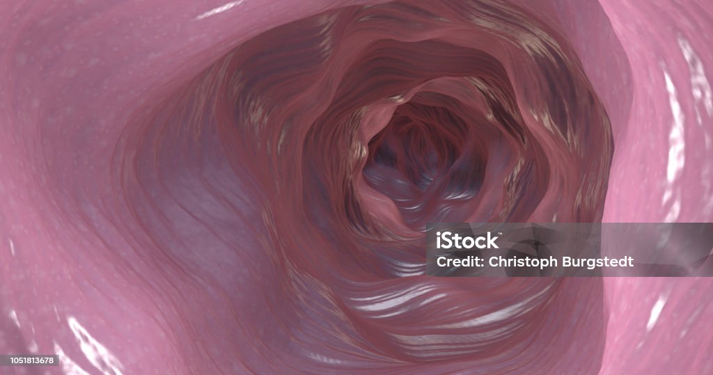 Ilustrasi 3d Dari Sisi Dalam Usus Besar Atau Saluran Usus Foto Stok