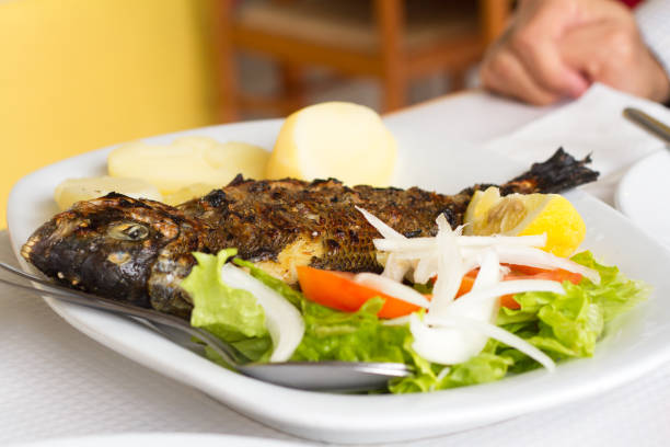 istock grilled fish with potato and fresh salad on white dish 1051814450