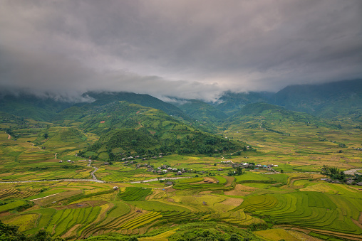 Mu Cang Chai terraces rice field in harvest season