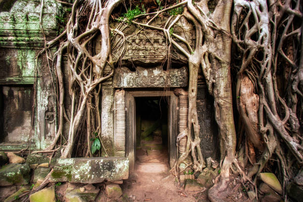 entrada de ruína ankor wat templo camboja - destrination - fotografias e filmes do acervo