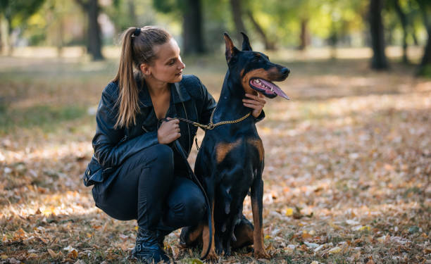 istock Woman with doberman in park 1051826402