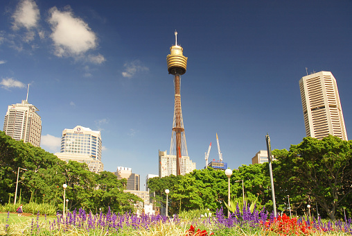 General landscape view of Sydney Tower and Hyde Park, the oldest public parkland in Australia located in Sydney New South Wales Australia.