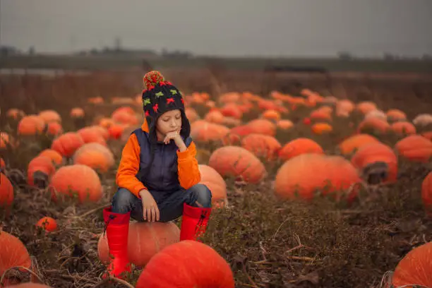 Adorable child having fun with pumpkin on pumpkinpatch on farm