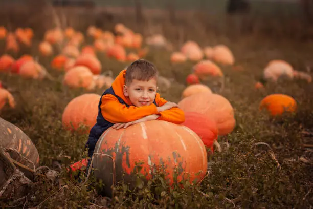 Adorable child having fun with pumpkin on pumpkinpatch on farm