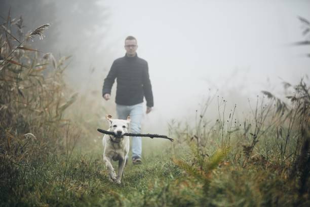 istock Man walking with dog in autumn fog. 1051860102