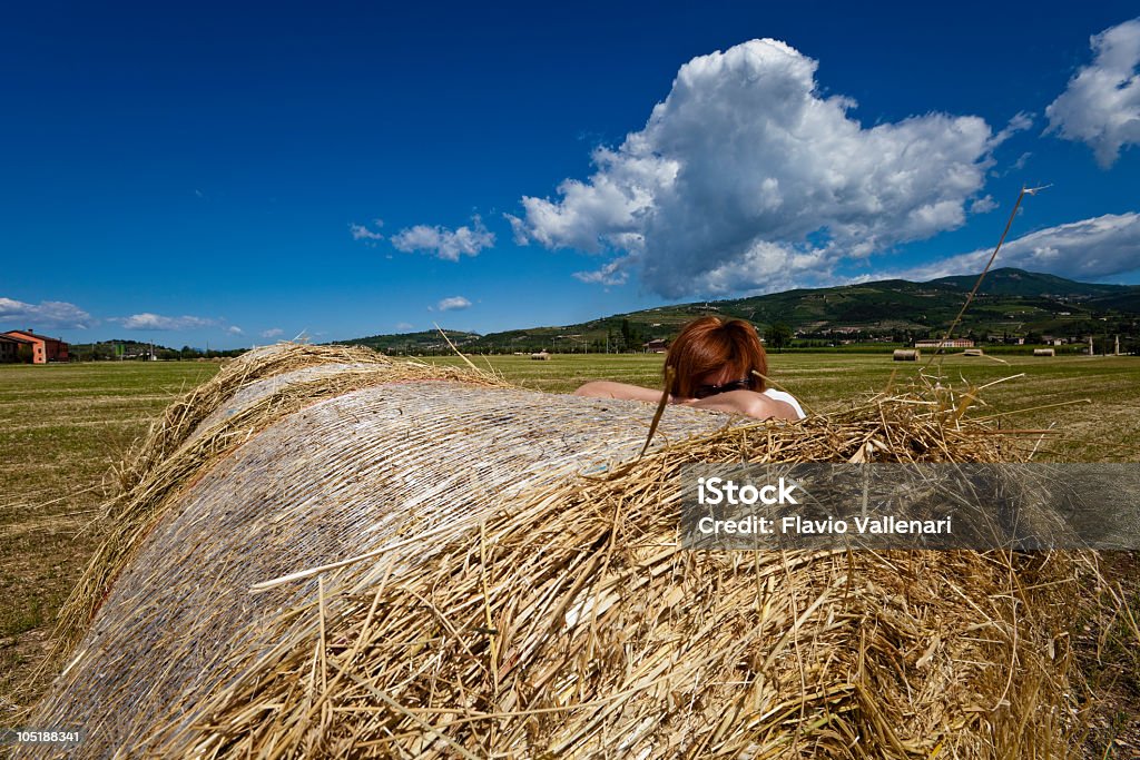 Fardos de palha Valpolcella, Itália - Royalty-free Adulto Foto de stock