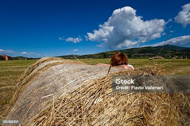 Fardos De Palha Valpolcella Itália - Fotografias de stock e mais imagens de Adulto - Adulto, Agricultura, Ao Ar Livre