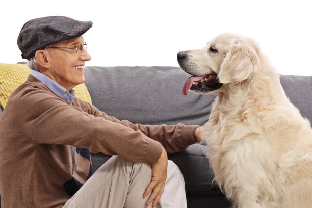 istock Senior with a labrador retriever dog 1051885666