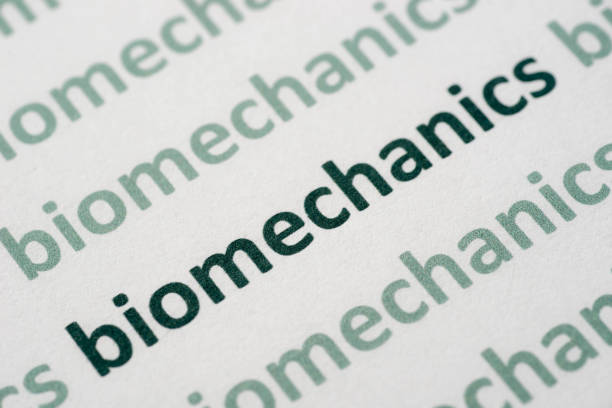 istock word biomechanics  printed on paper macro 1051904862