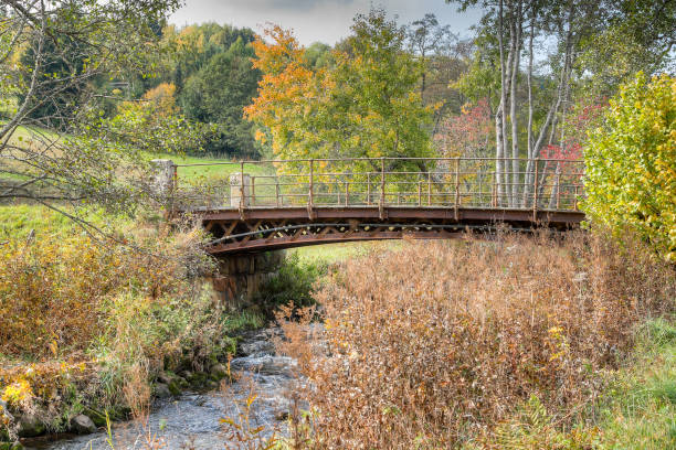istock Old steel bridge over the river Brigach. 1051927942