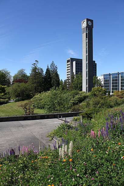 istock University of British Columbia UBC, Vancouver 105193686