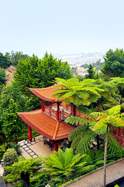 istock Monte Palace Tropical Garden - Madeira 105194686