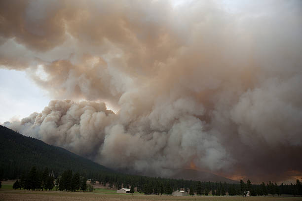Forest Fire in Missoula Montana stock photo