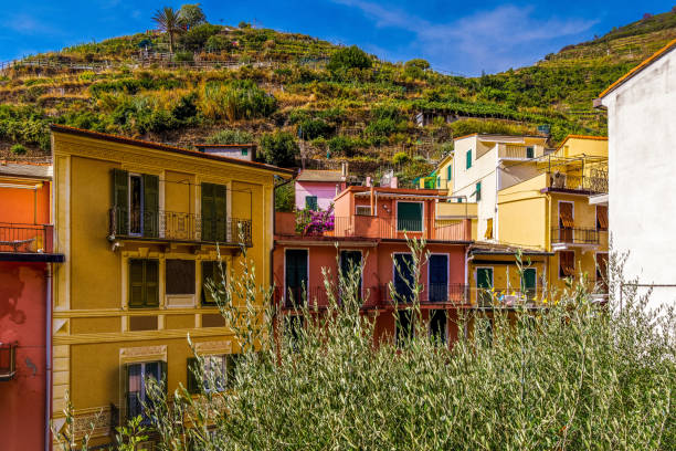 istock Colorful houses with storied vineyards 1051974674