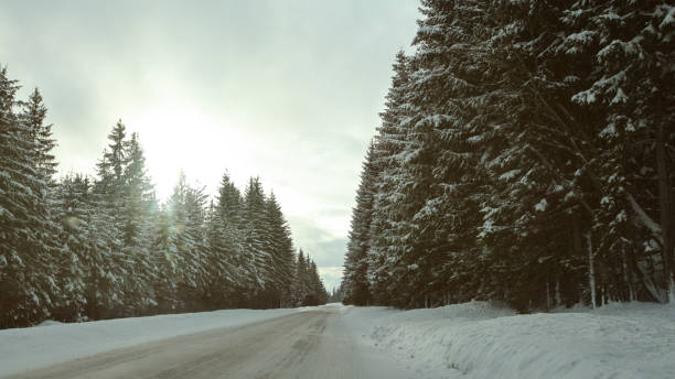 istock Winter forest road covered with ice and snow,  sun backlight - dangerous driving conditions. 1052006074