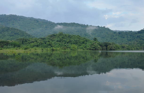 istock fishery boat floating on lake 1052006170