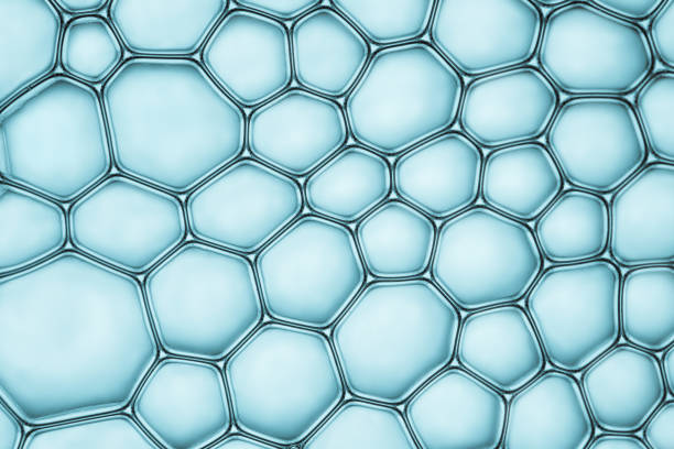 istock Macro close up of soap bubbles 1052008416