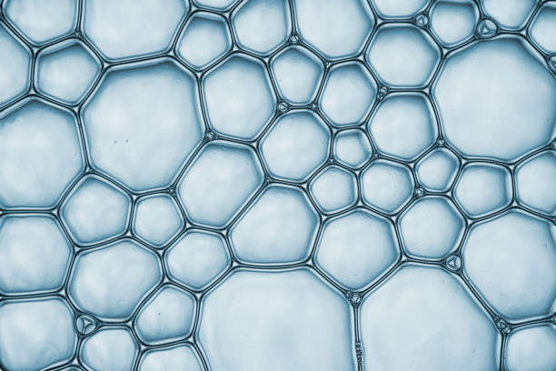 istock Macro close up of soap bubbles 1052008438