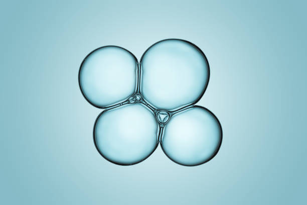 istock Macro close up of soap bubbles 1052008558
