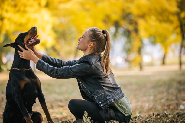 istock Girl playing with pet in park 1052008638