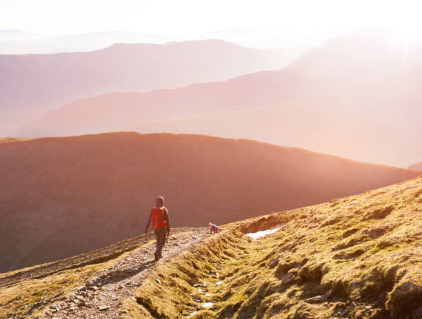 istock A hiker and their dog walking down Scar Crags ridge. 1052009992